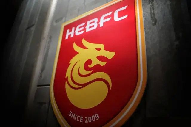 绿野仙踪林视频入口欢迎您